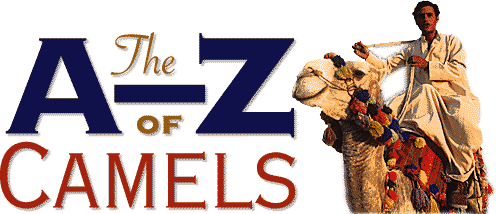 The A-Z of Camels