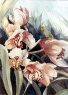 FCD_007_Orchids.jpg