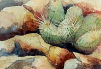 FCD_L05_Cactus_Garden.jpg