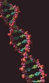 DNA