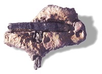 Million years old hammer discovered in Britain