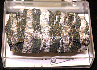 Asbestos_C_MPB004.JPG