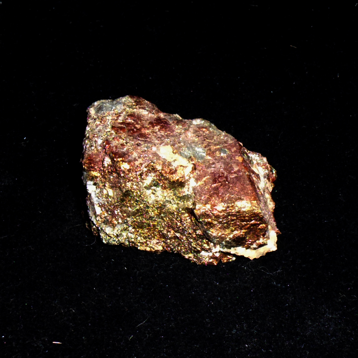 Chalcopyrite-Marmora-MPB-B002.JPG