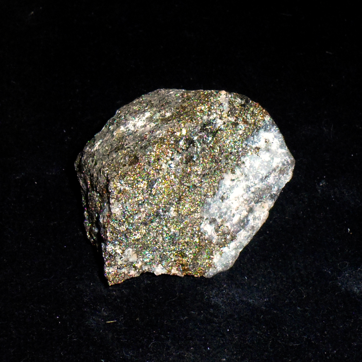 Chalcopyrite-Marmora-MPB-B002.JPG