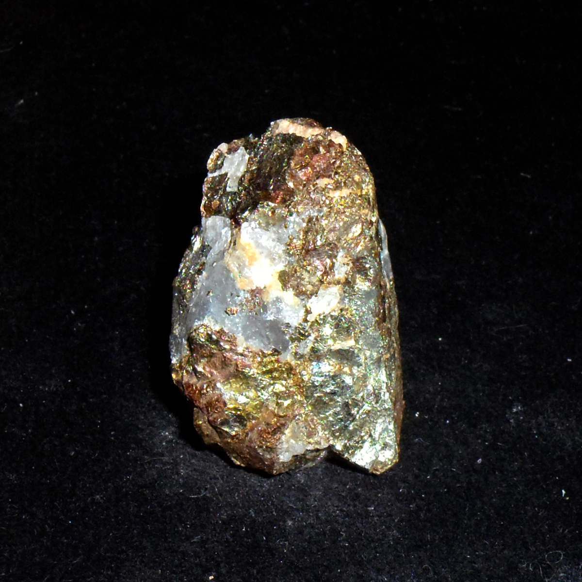 Chalcopyrite-Marmora-MPB-B002.JPG