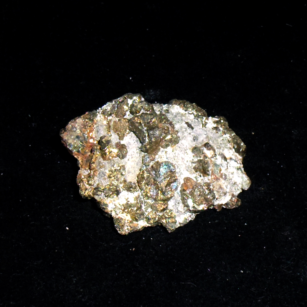 Chalcopyrite-Marmora-MPB-B002.JPG