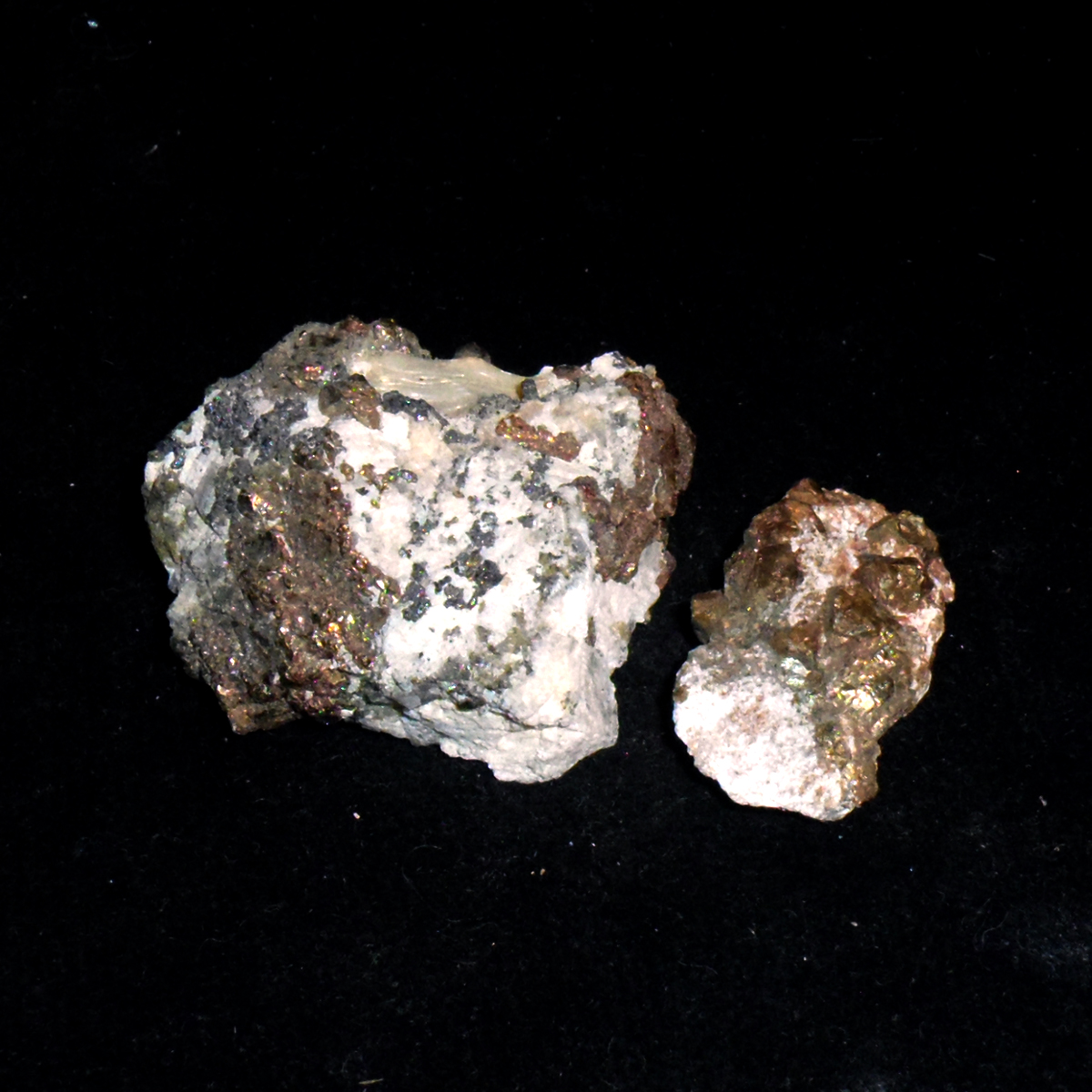 Chalcopyrite-Marmora-MPB-B002.JPG