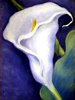 FCD_002_Calla_Lily_II.jpg