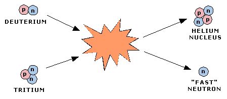 The Primary Fusion Reaction