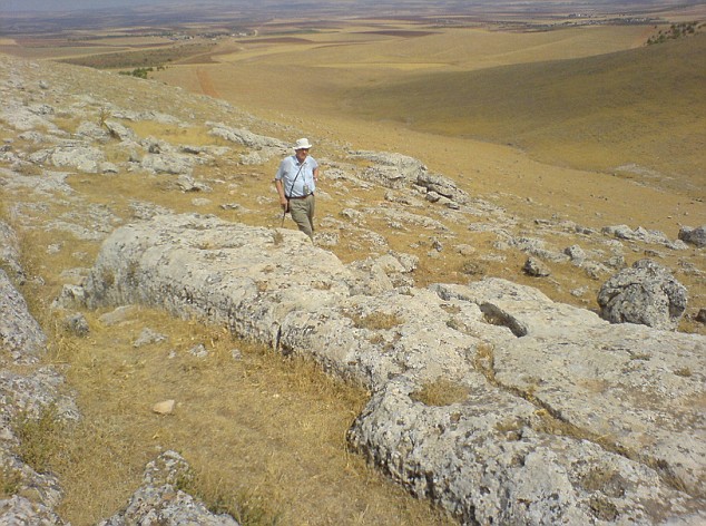 The stones unearthed by the shepherd
                          turned out to be the flat tops of T-shaped
                          megaliths