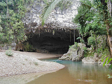 http://www.thelivingmoon.com/47john_lear/04images/Water/entrance-caves-branch.jpg